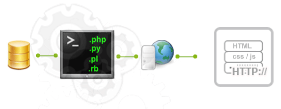 FreeBSD Apache Web Server MySQL PHP